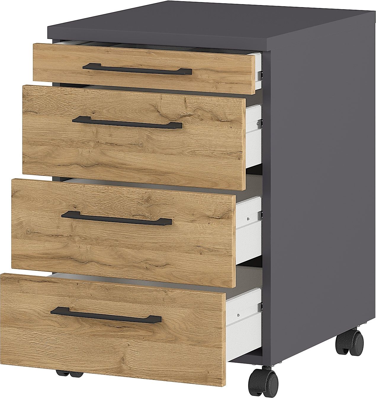 Rollcontainer PROFI 2.0