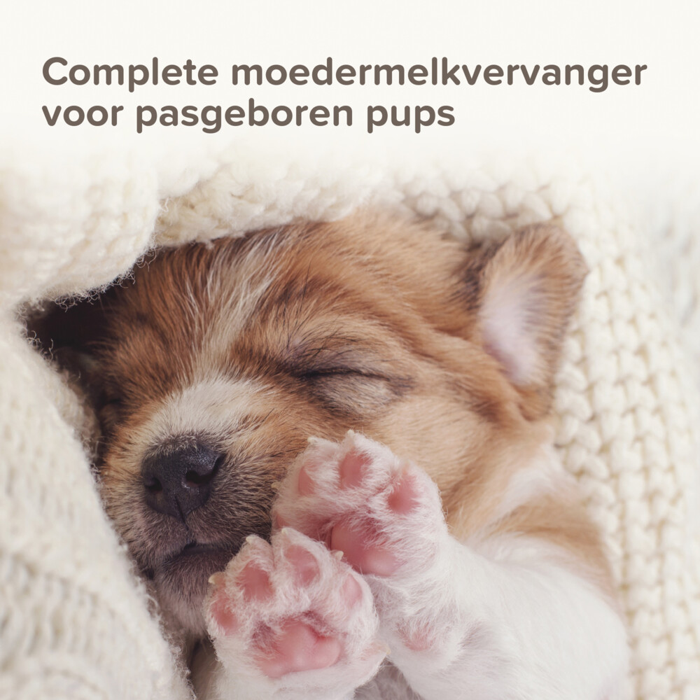 Beaphar Lactol Melk Puppy1 kg