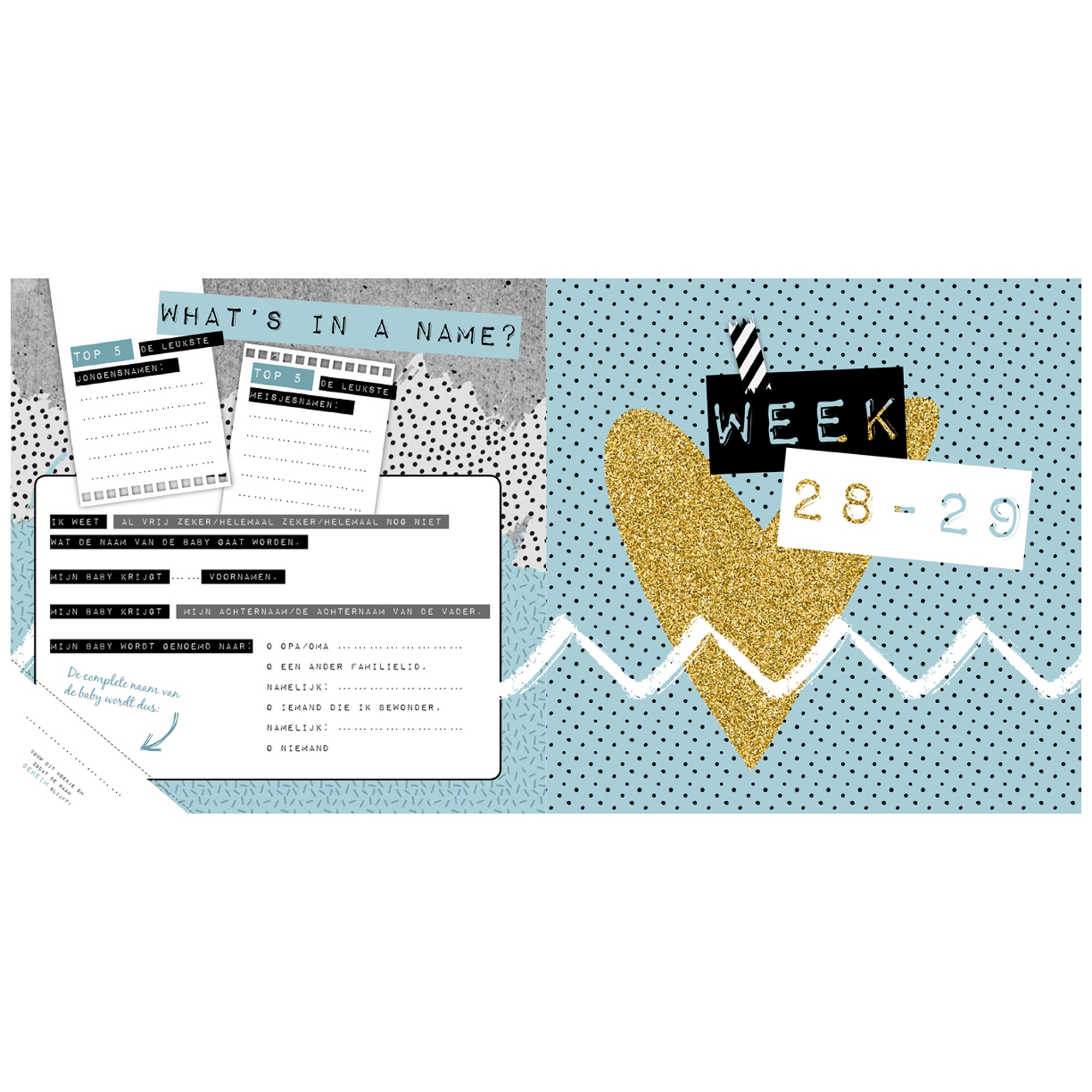Lantaarn Publishers invulboek 9-maanden - zwangerschap