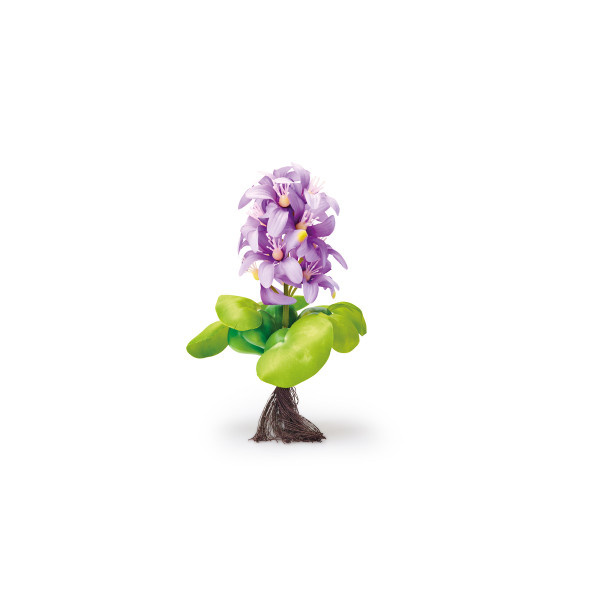 Oase Pontec PondoHyacinth Blooming