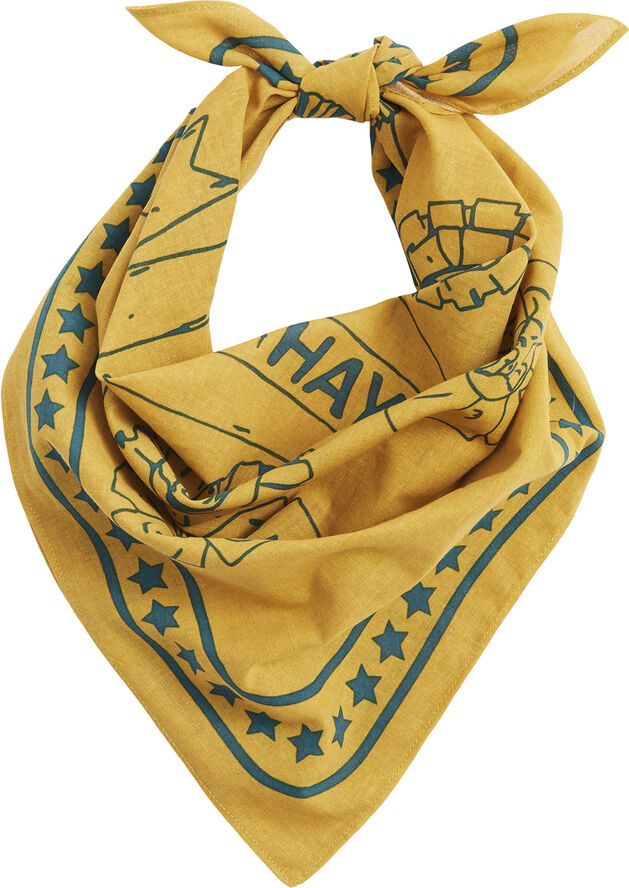 Hay HAY Dogs Scarf-55 x 55-Ochre
