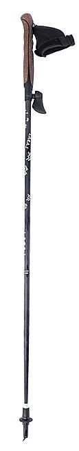 LACAL - BATONS DE MARCHE NORDIQUE STICK CARBONE 70