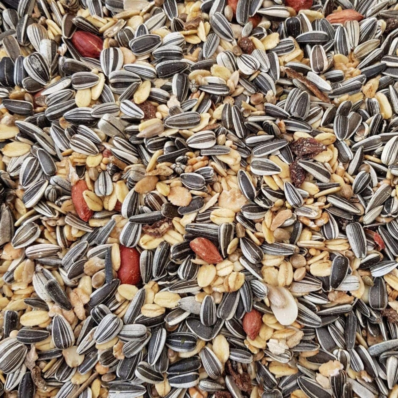 Supravit Winterfutter | Streufutter für Wildvögel 2,5 kg