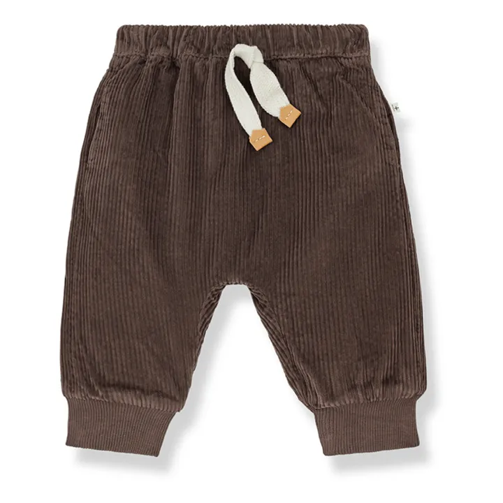1+ in the family Jogger Velours Côtelé Jef | Marron