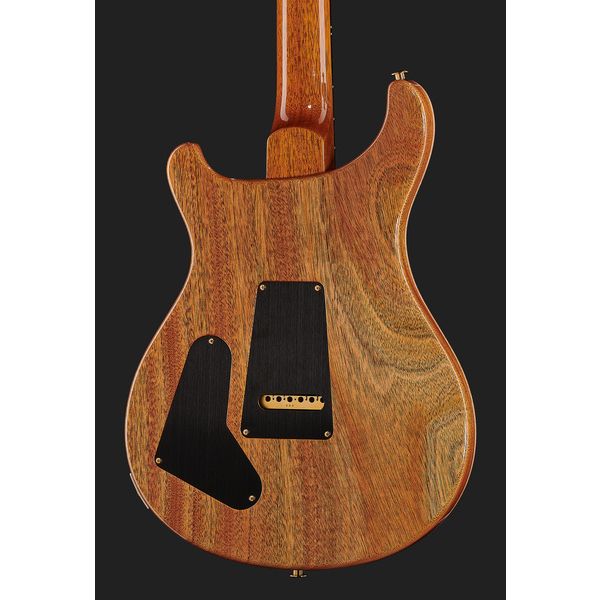 PRS Special Semi-Hollow 10 Top ER