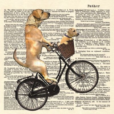 The Long Voyage Home Labradors