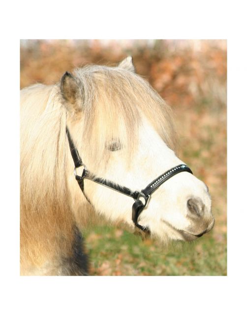 Waldhausen Lerenhalster Diamond Zwart - Paardenhalster
