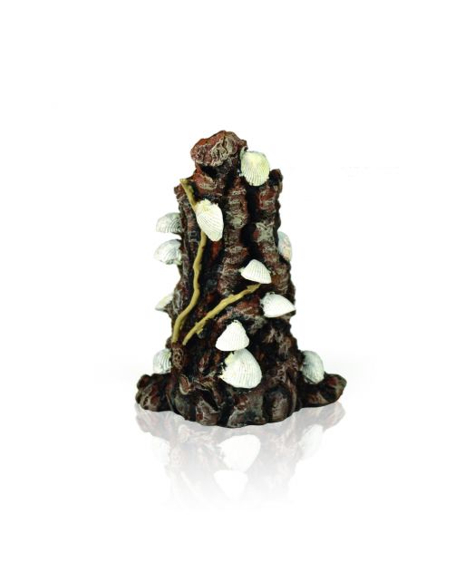 Biorb Schelp Op Schors Ornament Wit - Aquarium - Ornament -