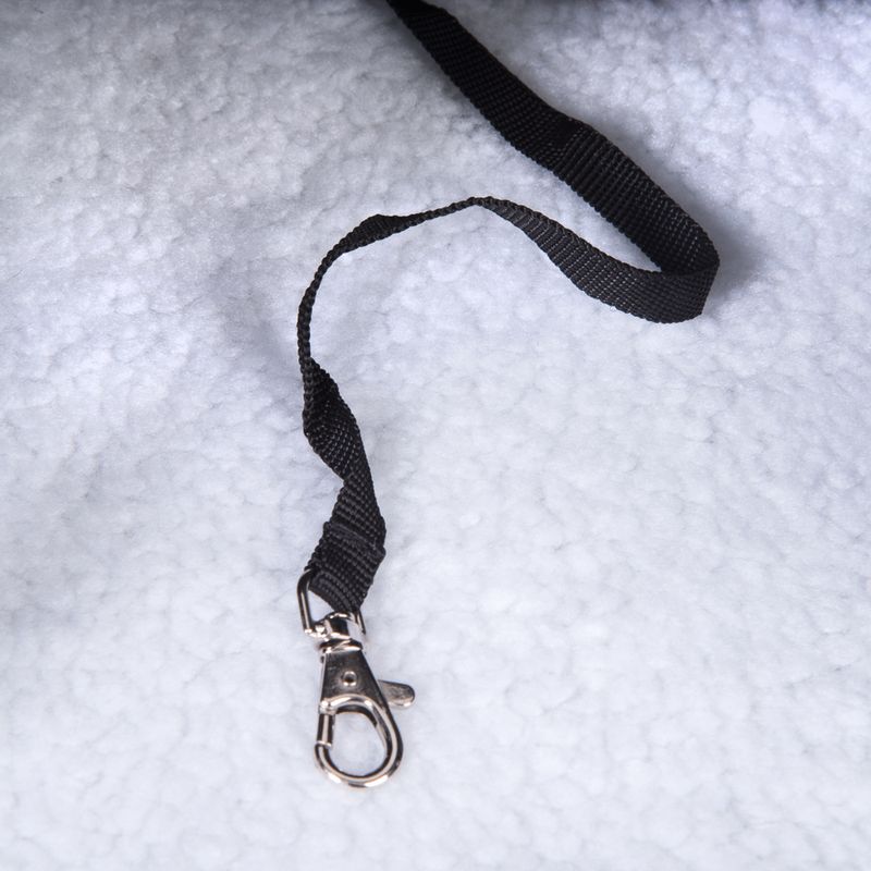 Sac à dos Voyage pour chien et chat