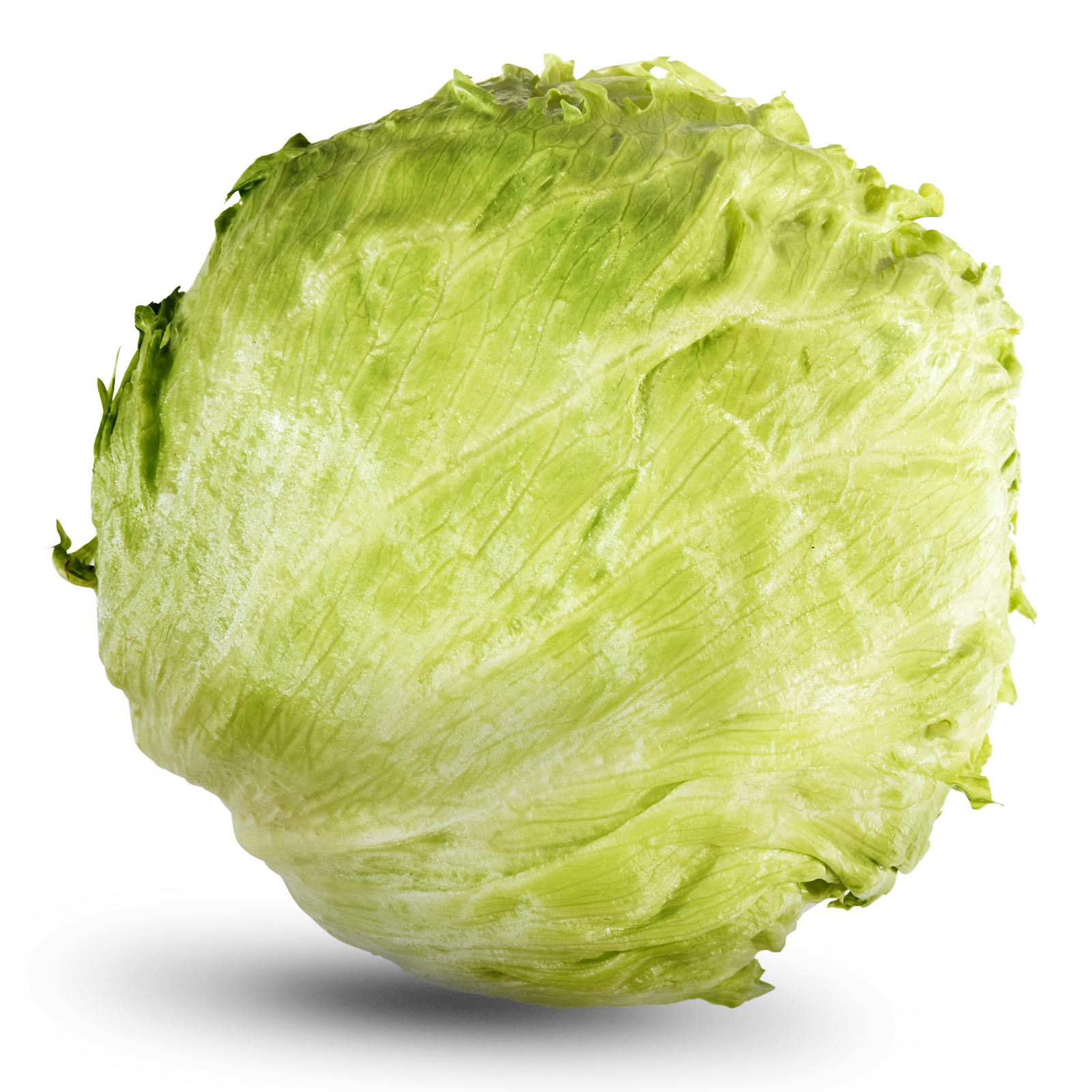Laitue iceberg