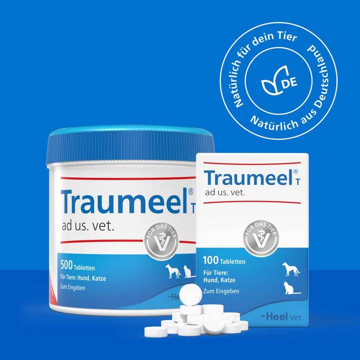Traumeel T ad us. vet. Tabletten für Hund und Katze, 500 St