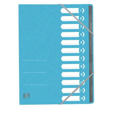 Oxford Ordnungsmappe TOP FILE+, A4, 12 Fächer, aus 390 g/m² karton, hellblau