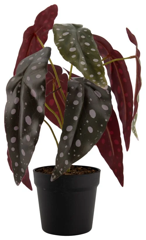 plante artificielle bégonia à pois