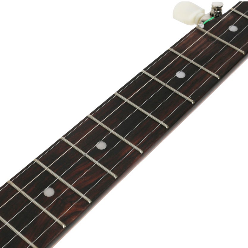Recording King RK-OT25-BR Old-Time Open Back Banjo