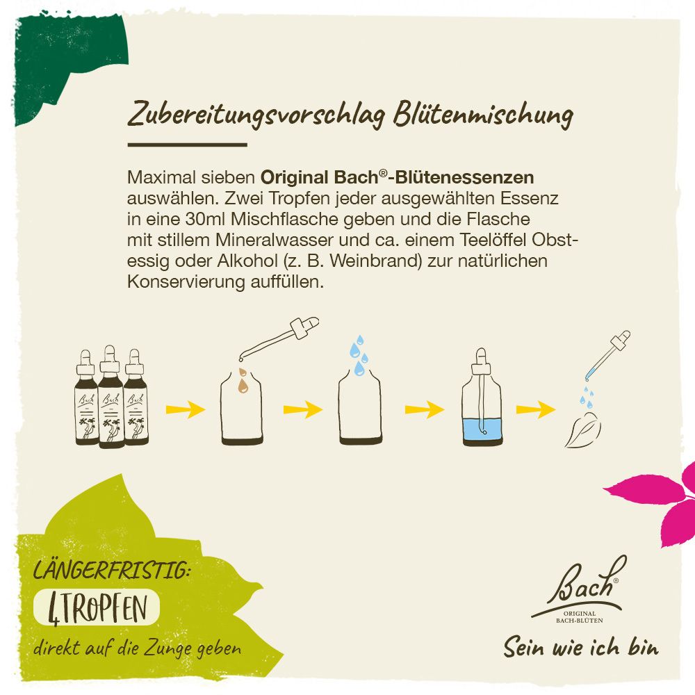 BACH®-BLÜTE BEECH (Rotbuche)
