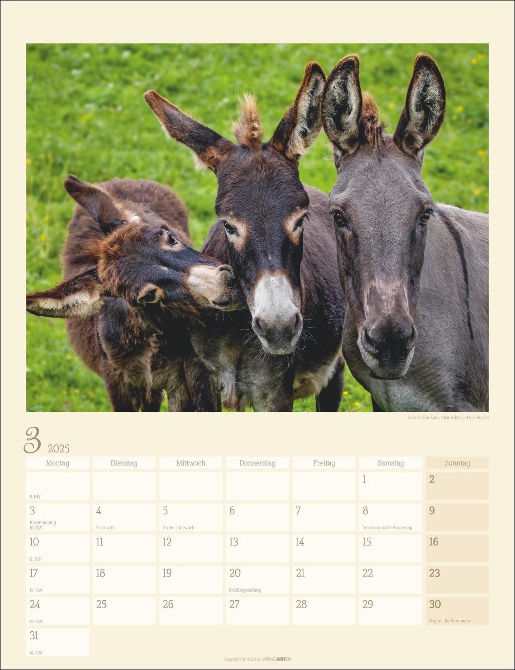 Esel Kalender 2025
