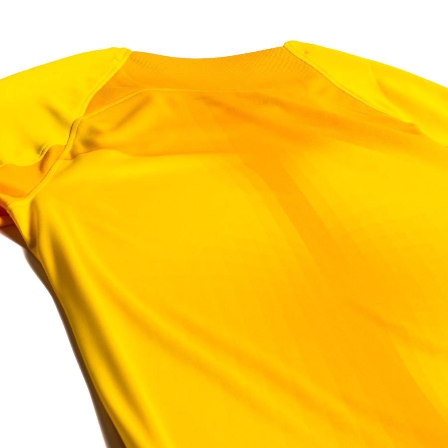 Nike Maillot de Gardien Dri-FIT ADV Gardien IV - Jaune/Jaune Doré/Noir