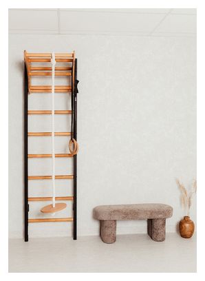 Espalier de gymnastique BenchK 211B   A076