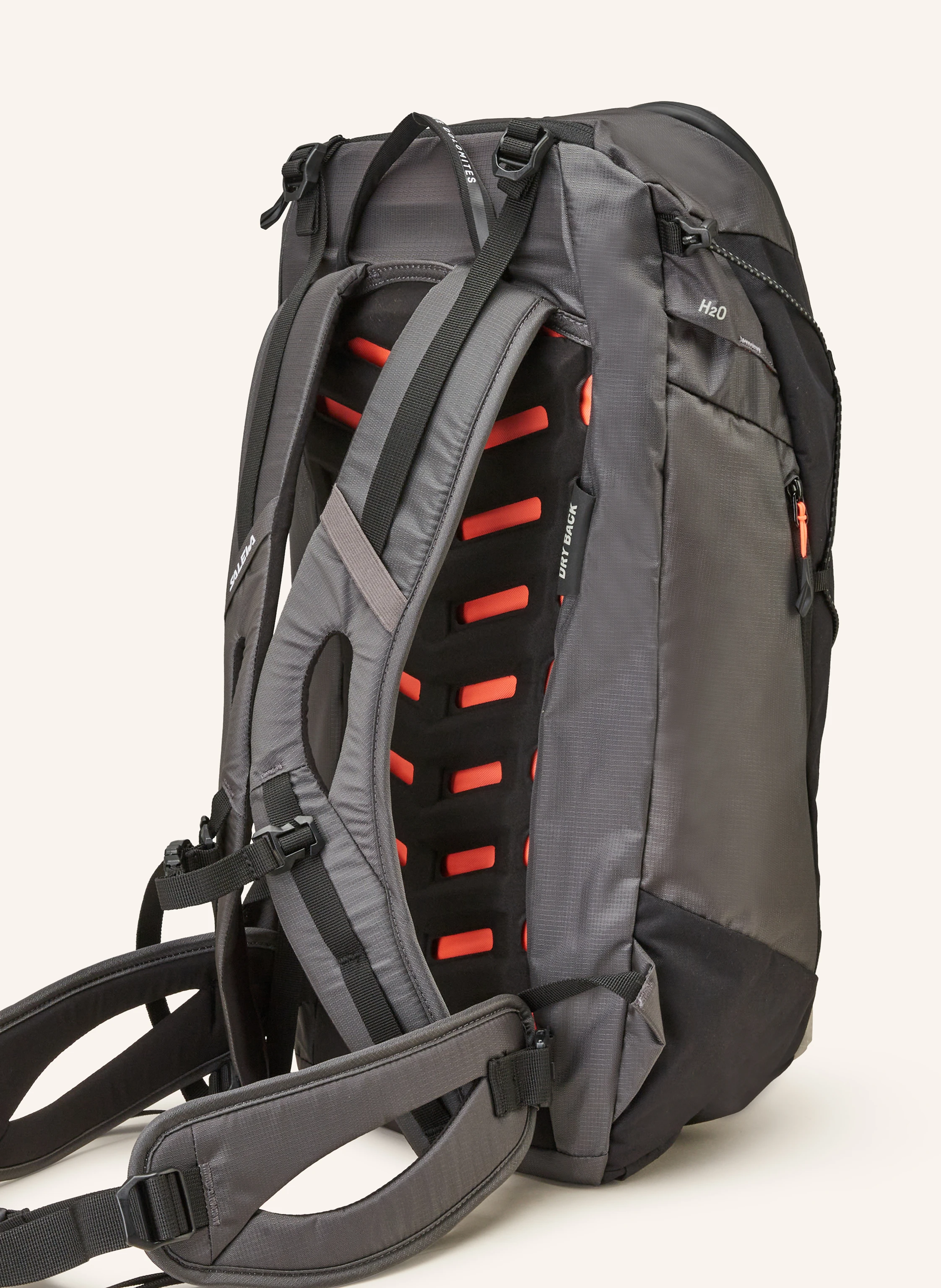 SALEWA Rucksack PUEZ 25 l