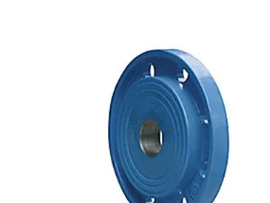 Gevindflange DN150 x 2 - Hawle