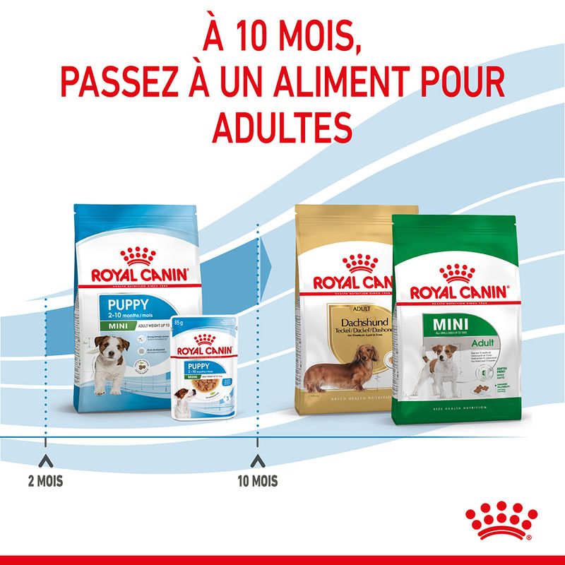 Royal Canin Mini Puppy - Croquettes chiot | Bitiba