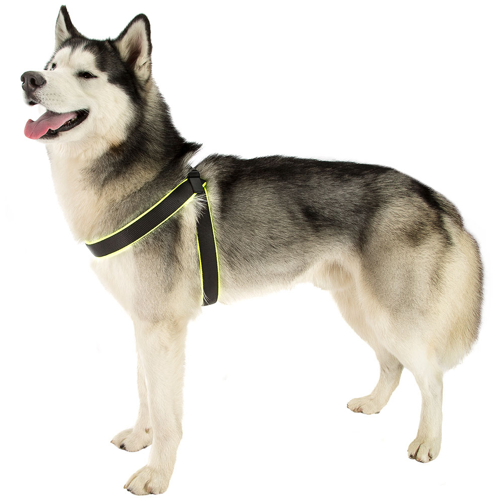 Ferplast harnais ergonomique pour chiens agila fluo 4, ajustement parfait, fermeture pratique avec lacet, rembourrage souple, a=b