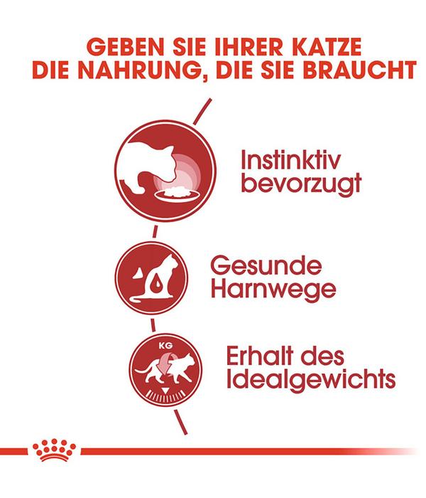 ROYAL CANIN® Nassfutter für Katzen