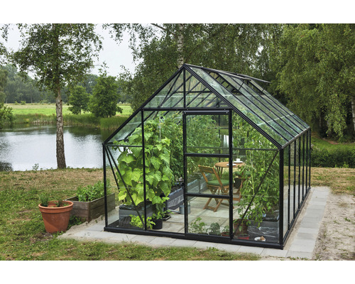 Kas Hallen Universal 128 9,9 m² Helder glas 3 mm 257 x 384 cm zwart