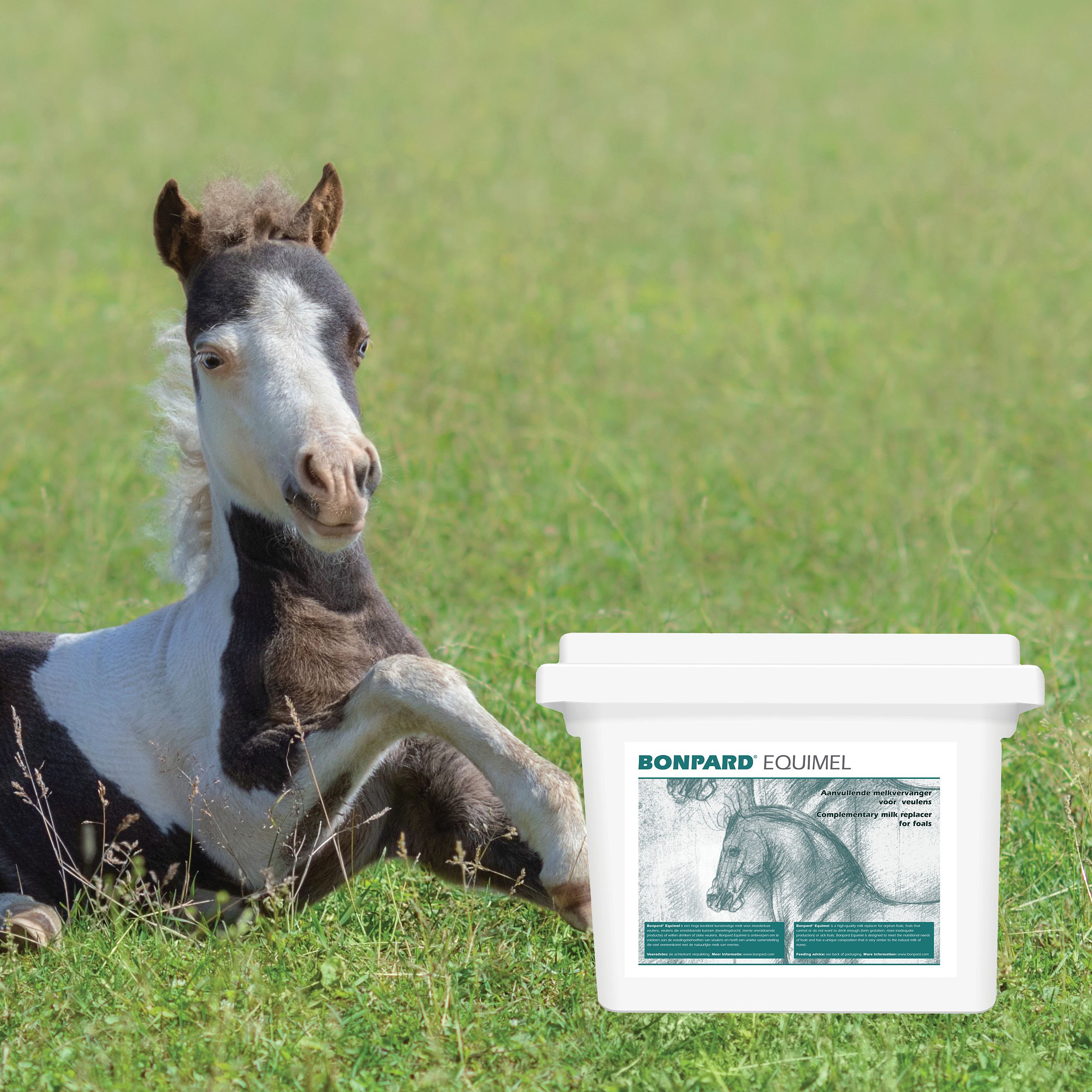 Bonpard Equimel Veulenmelk 10 kg | 15199