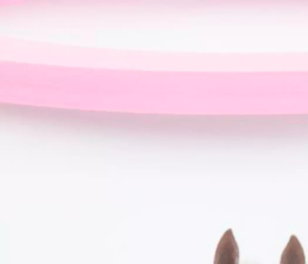 LED-Kinderlampe Pferde