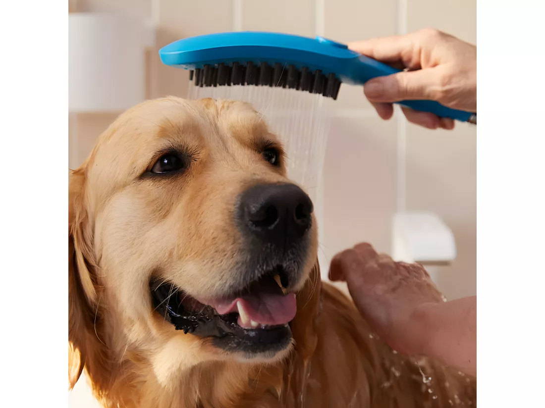 Pommeau de douche pour chien HANSGROHE DogShower 3 jets Bleu