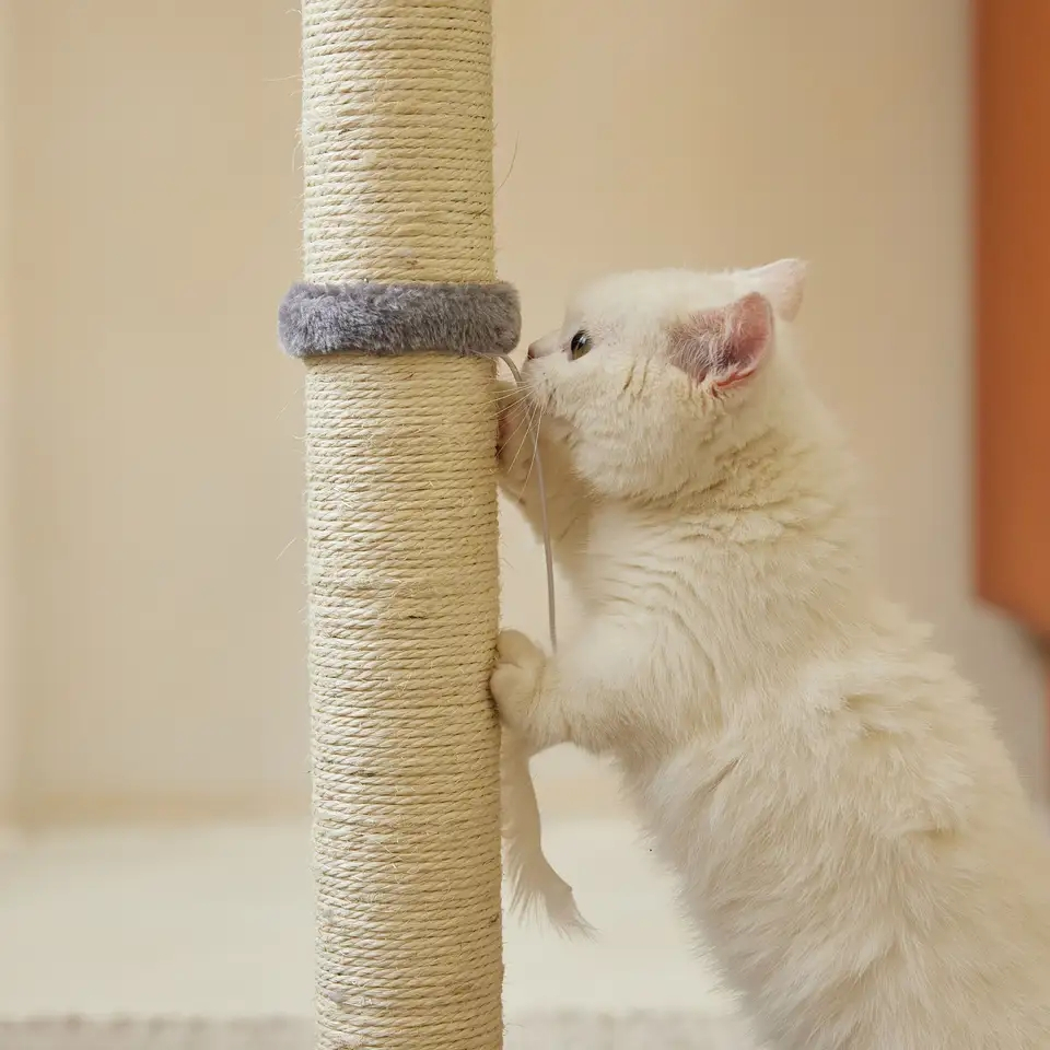 (80x40cm) Katzen Kratzstamm Sisal Kratzsäule mit Spielball   Spielmaus - Grau / Beige
