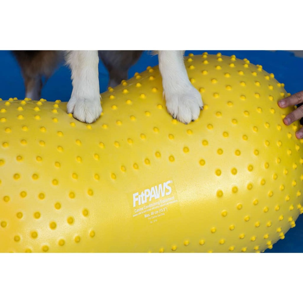 Plate-forme d'équilibre pour animaux de compagnie 40 cm jaune