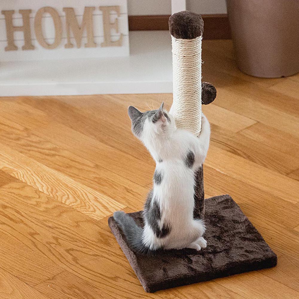 Griffoir chat pa 4014 avec colonne en sisal et balle de jeu