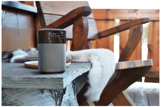 Pinell North bærbar digital radio (night black)