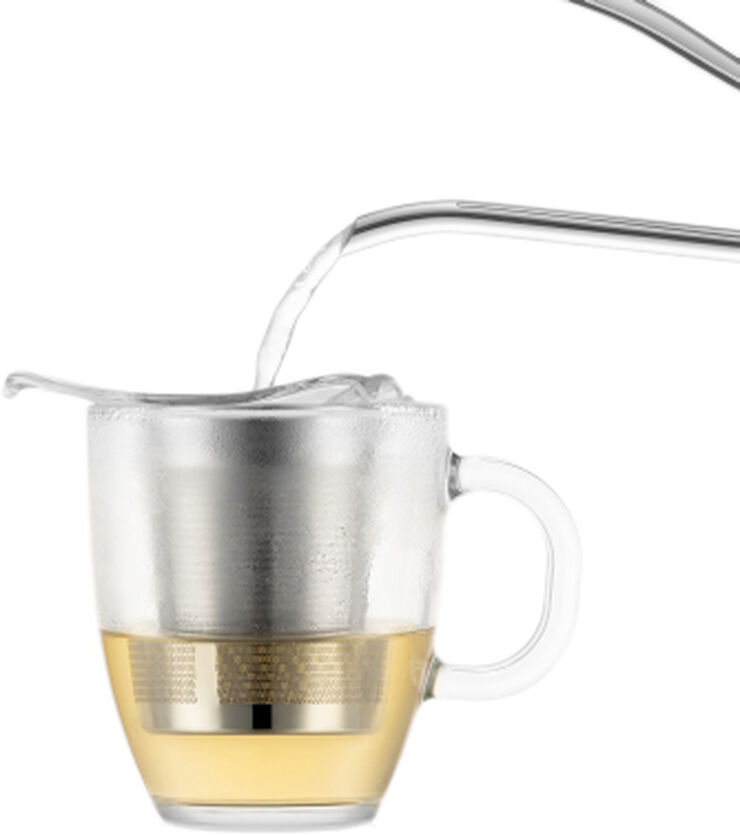 Bodum YO-YO SET Tesi med BISTRO krus, 0. 35 l Transparent