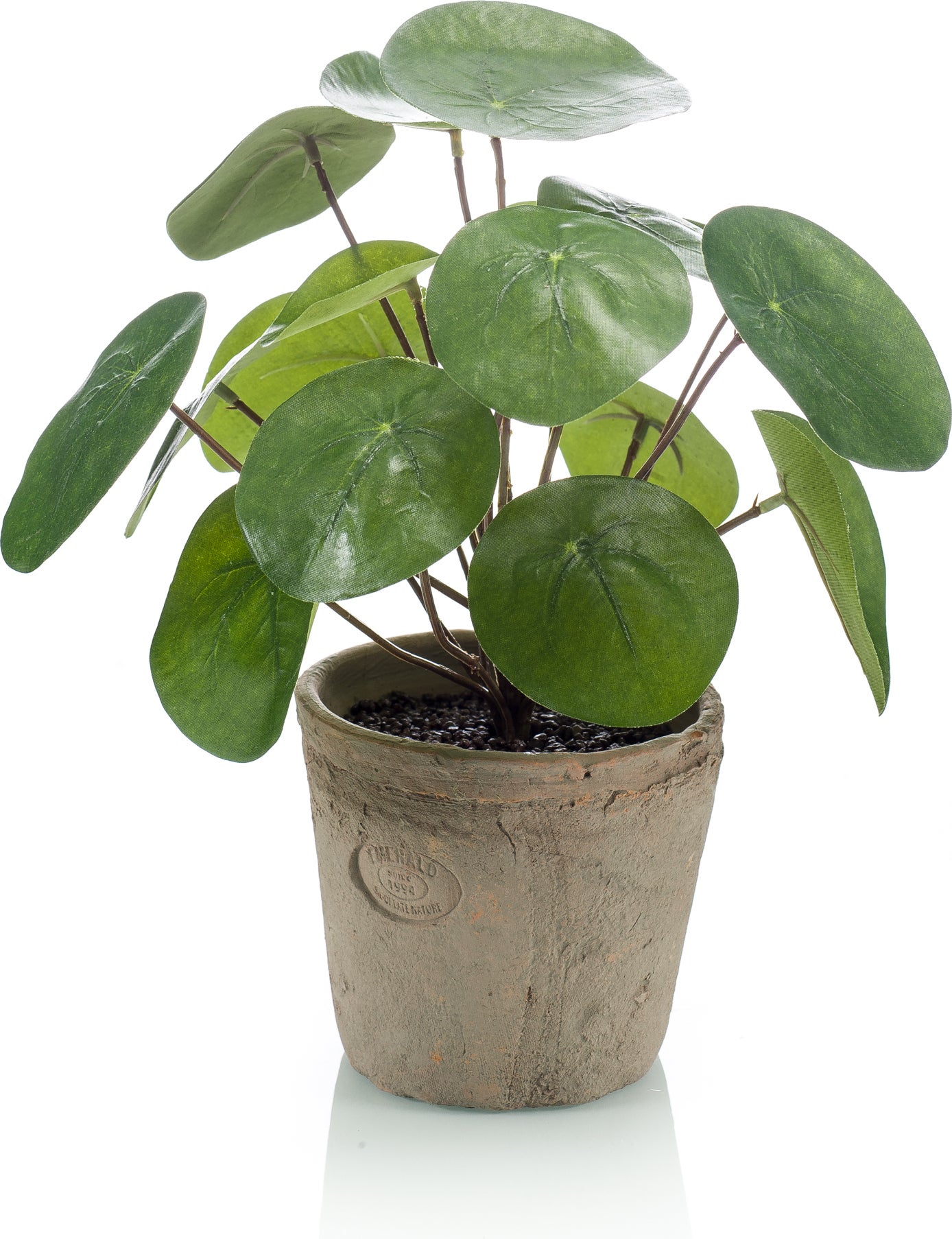 Emerald kunstplant Pannenkoekplant D 11 H 25 cm