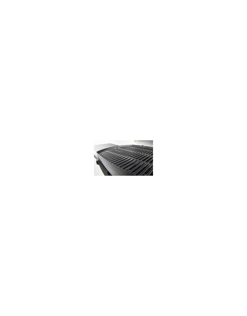 Weber Bbq Q1000 - Barbecue - 69x38.5 cm Titanium Gas