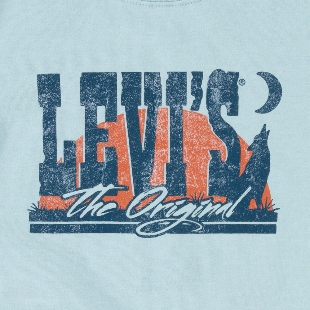 Køb Levi's Ether Lvb Desert At Dusk Tee