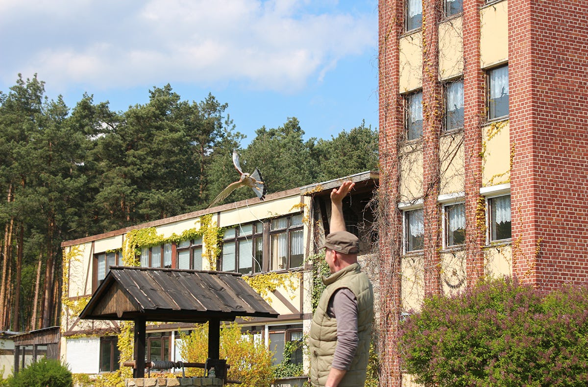 Falkner für einen Tag in Potsdam
