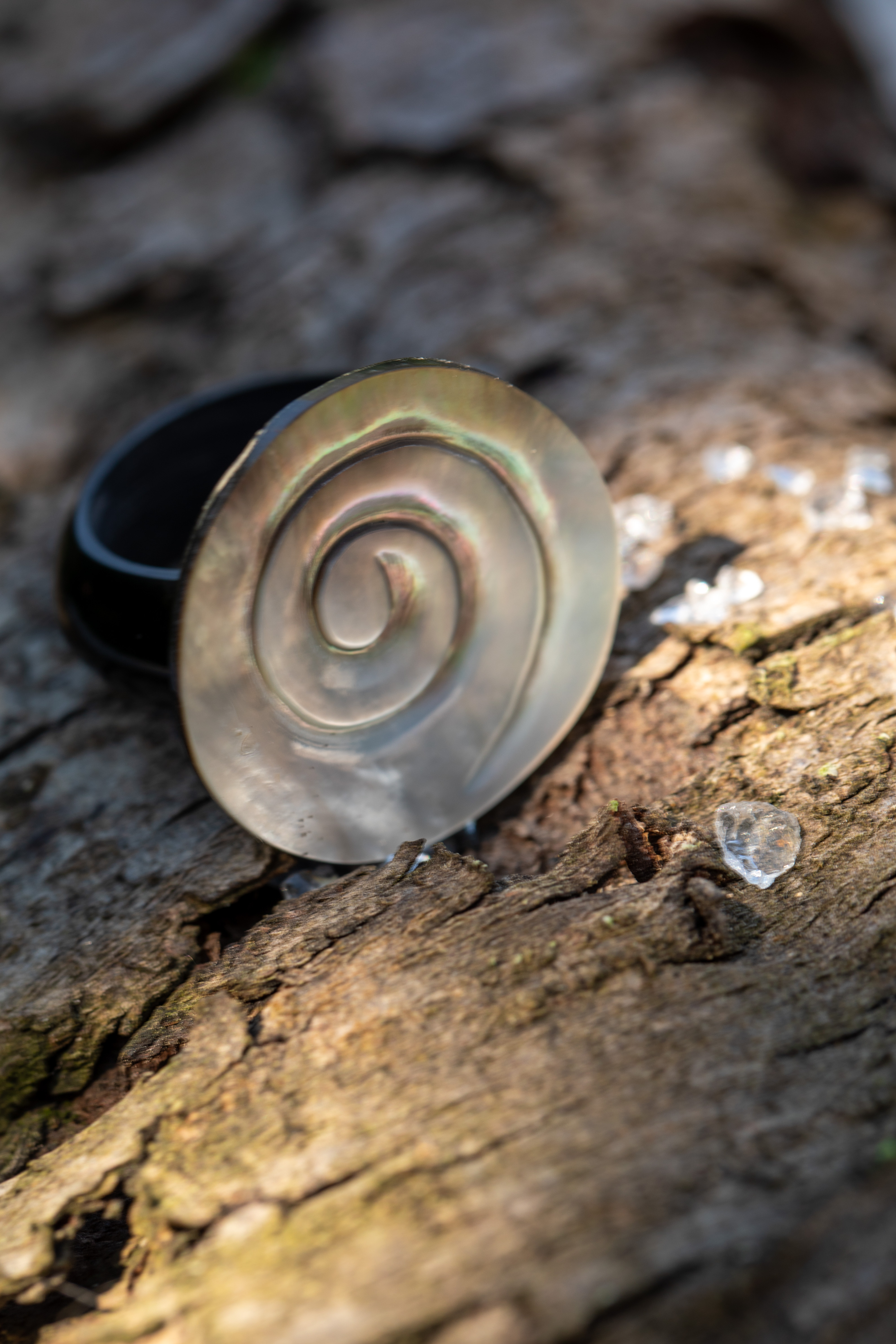 Ring 'Muschel-Spirale', natur, schwarz, Ø 4 cm günstig bestellen