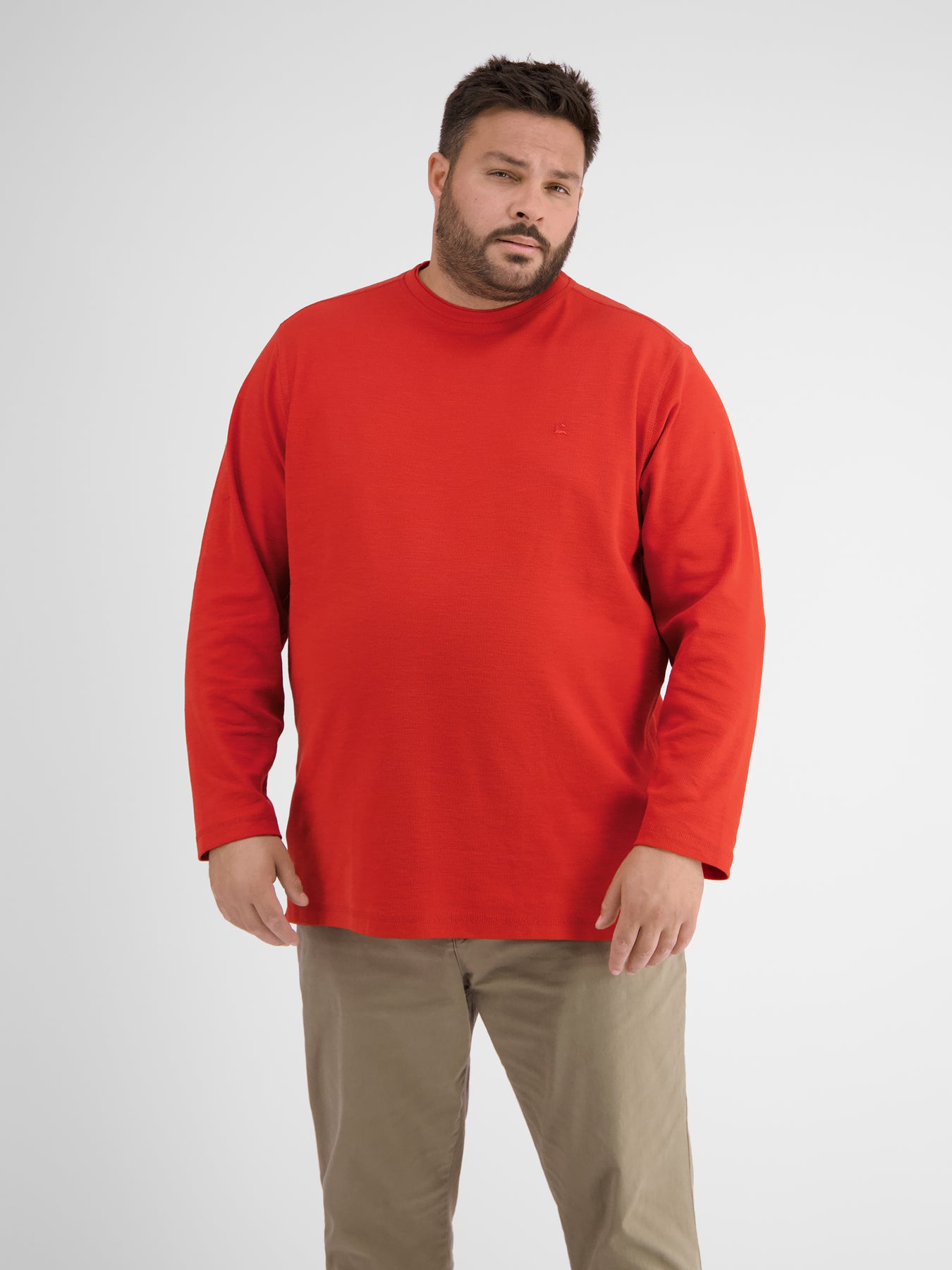 Longsleeve. Structure