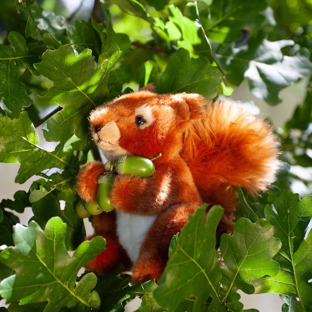 Rappa knuffeleekhoorn - 18 cm