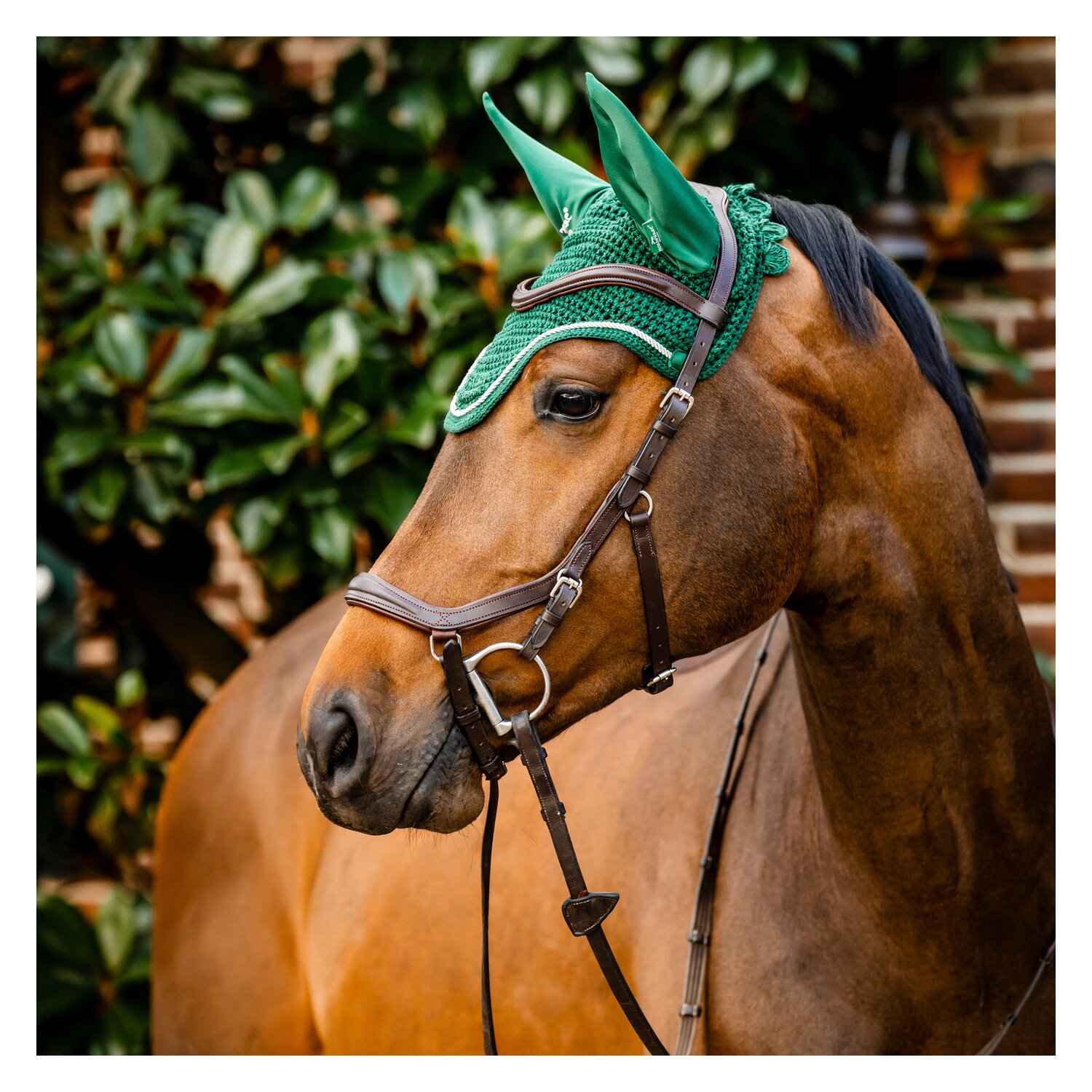 HORSEWARE Signature Fliegenohren  - green - VB/WB