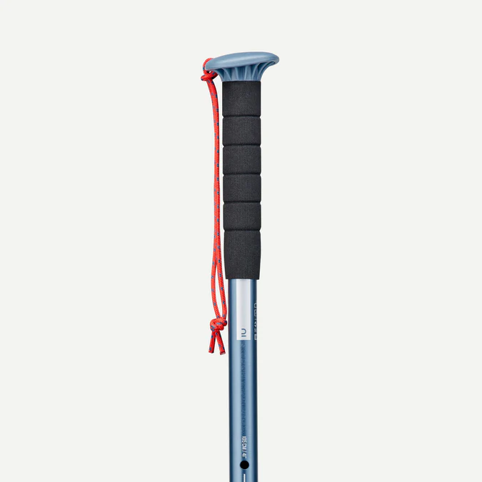 Decathlon Forclaz - Bastão de caminhada Forclaz MT100 (bastão único)