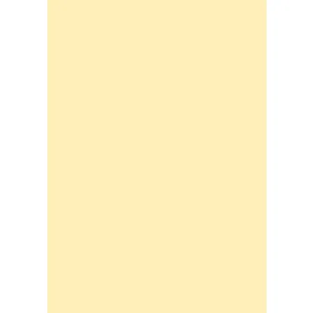 IGEPA farbiges Druckerpapier chamois, 100 Blatt