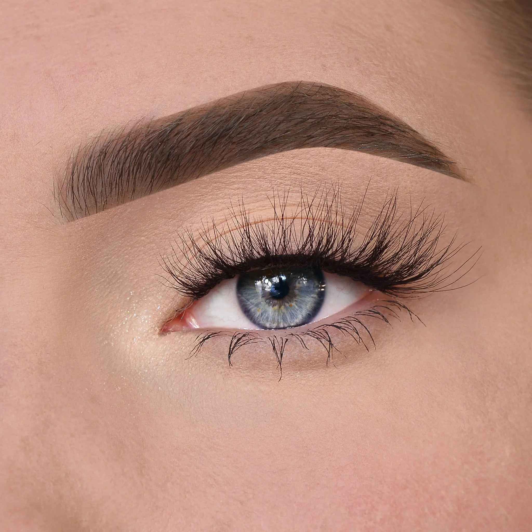 Roya Lashes