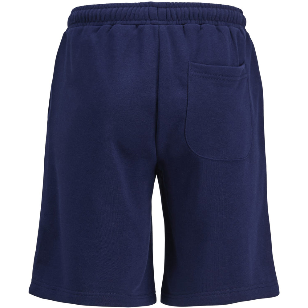 Køb Jack & Jones Junior Ocean Cavern Vesterbro Sweat Shorts