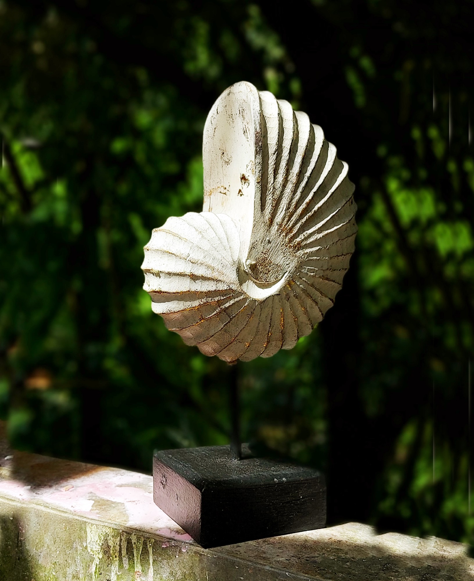 Muschel auf Ständer, weiß, gold, H 28 cm, B 14 cm, T 9 cm von fischer's lagerhaus