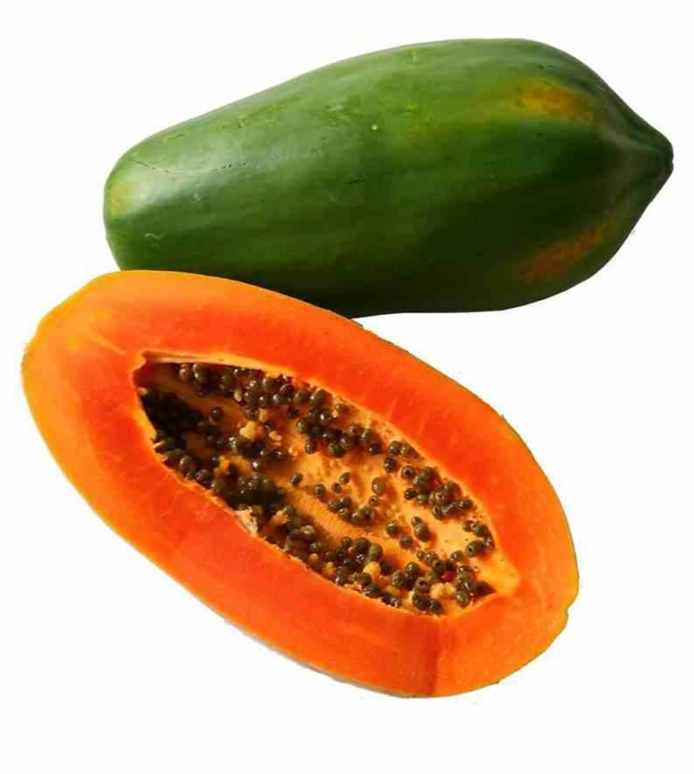 Papayer carica papaya var. Passion red taille pot de 7 litres ? 60/80 cm - rouge
